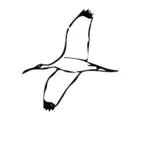 בתמונה וקטורית ציפור האיביס עץ